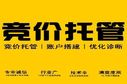 成功企业如何借助百度推广代运营公司实现逆袭